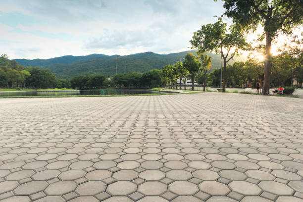 Best Residential Paver Driveway  in Hillsborough, NC
